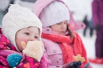 Image showing portrait of two little girls sitting together on sledges