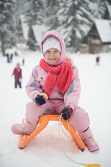 Image showing little girl sitting on sledges