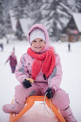 Image showing little girl sitting on sledges