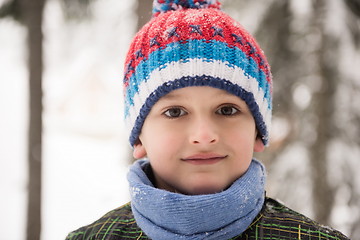 Image showing little boy having fun on winter day