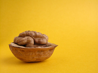 Image showing walnut