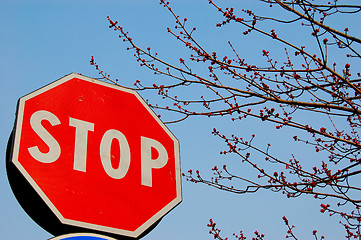 Image showing auto sign,stop ,2