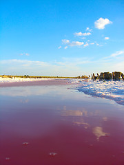 Image showing landscape with salty sea in Sivash