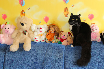 Image showing black cat sitting next to toys