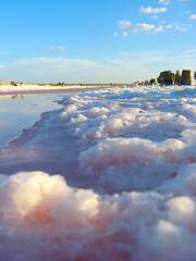 Image showing landscape with salty sea in Sivash