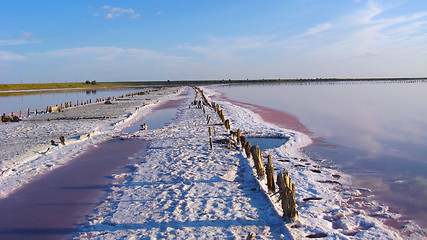 Image showing salty road on Sivash