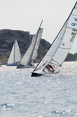 Image showing one sail competition on swedish westcoast 