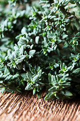 Image showing Thyme sprigs