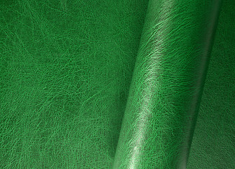 Image showing rolled leather surface