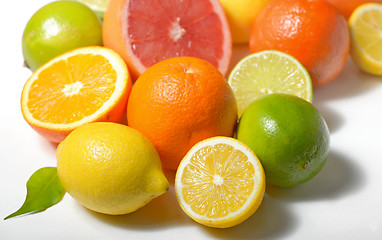 Image showing citrus fruits isolated