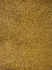 Image showing rolled leather surface