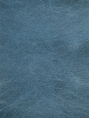 Image showing rolled leather surface