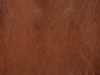 Image showing rolled leather surface