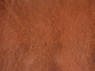 Image showing rolled leather surface