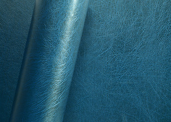 Image showing rolled leather surface