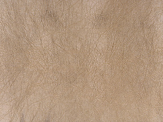 Image showing rolled leather surface