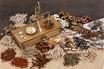 Image showing Chinese Herb Ingredients