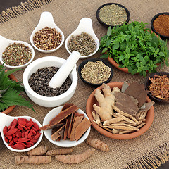 Image showing Healing Herbs for Men