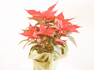 Image showing Retro looking Poinsettia Christmas star