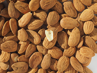 Image showing Almonds dried fruit