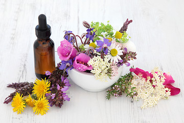 Image showing Naturopathic Flowers and Herbs
