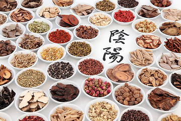 Image showing Yin and Yang Chinese Herbs