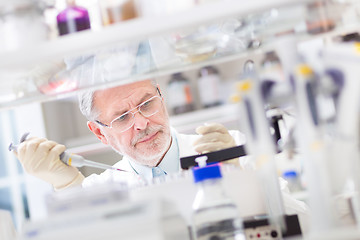 Image showing Life scientist researching in the laboratory.