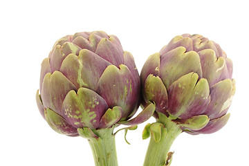 Image showing Two artichokes