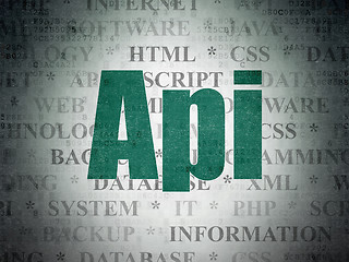 Image showing Programming concept: Api on Digital Paper background
