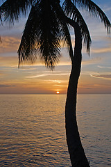 Image showing Tropical Sundown