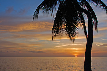 Image showing Tropical Sundown