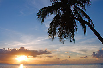 Image showing Tropical Sundown