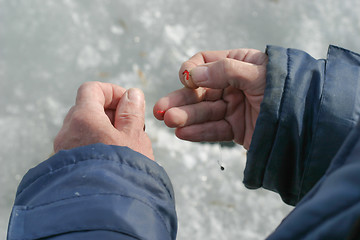 Image showing hand with a fishing bait