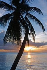 Image showing Tropical Sundown