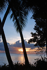 Image showing Tropical Sundown