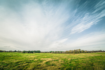 Image showing Green fields in the autumn season