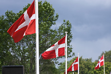Image showing Danish Flags