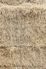 Image showing Hay