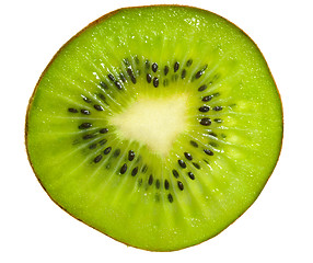 Image showing Kiwi slice macro