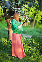 Image showing Pregnant woman using tablet PC in green park