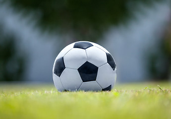 Image showing Football on green grass