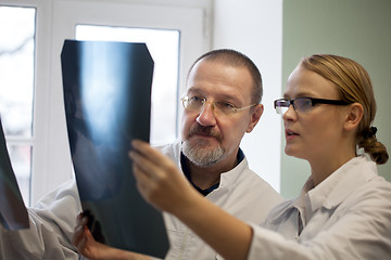 Image showing Senior and young doctors examining x-ray images
