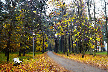 Image showing Autumn road.