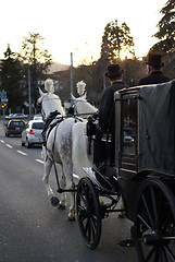 Image showing horsed carriage in the city