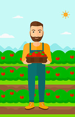 Image showing Farmer collecting tomatos.