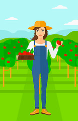 Image showing Farmer collecting apples.