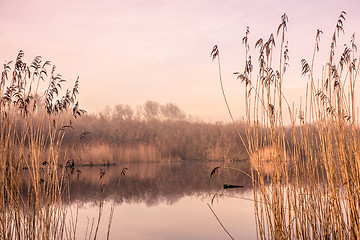 Image showing Idyllic lake in the autumn