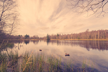 Image showing Idyllic lake scenery with lure ducks