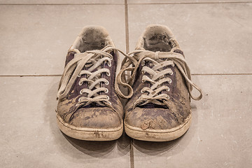 Image showing Pair of dirty shoes with mud