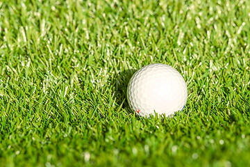 Image showing Golf ball on astro turf